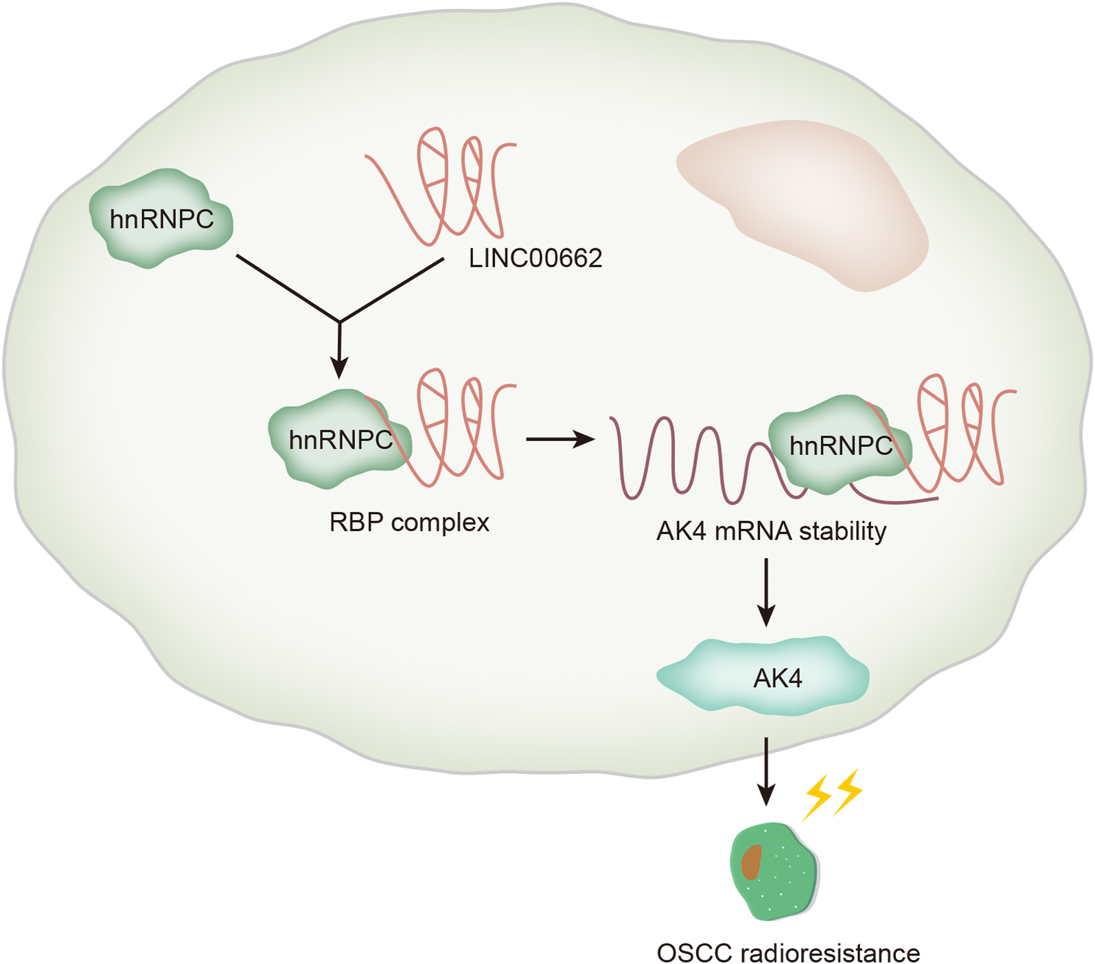 Fig. 7