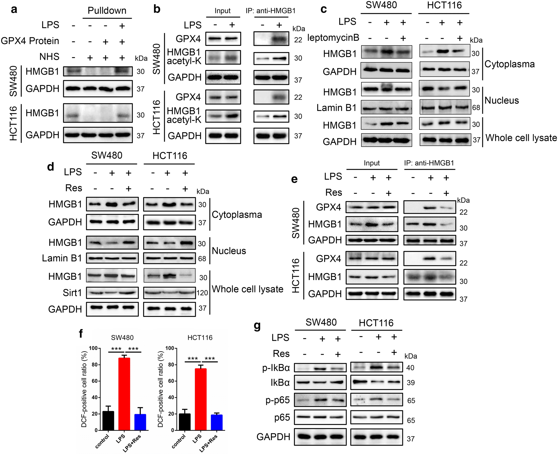 Fig. 5