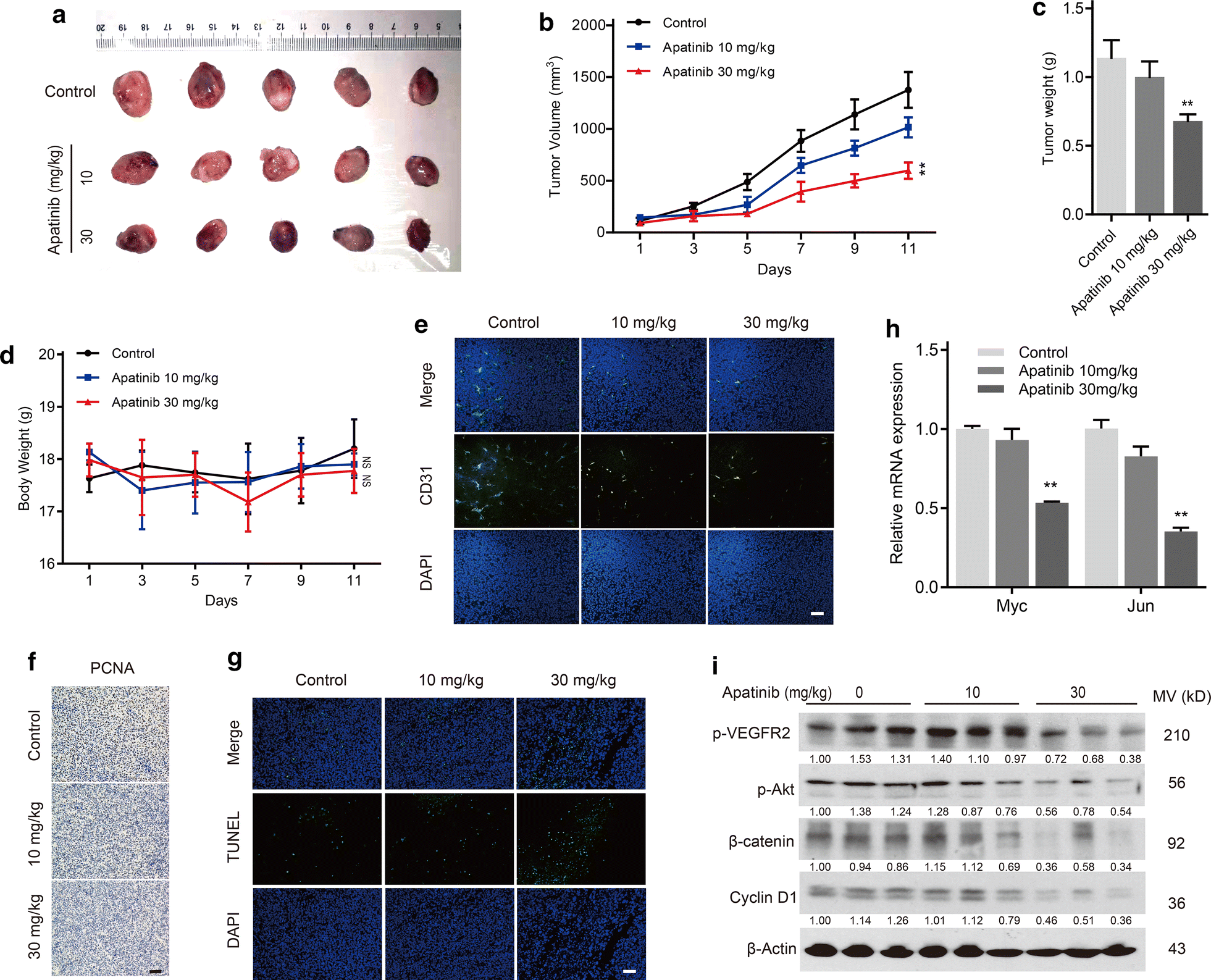 Fig. 6