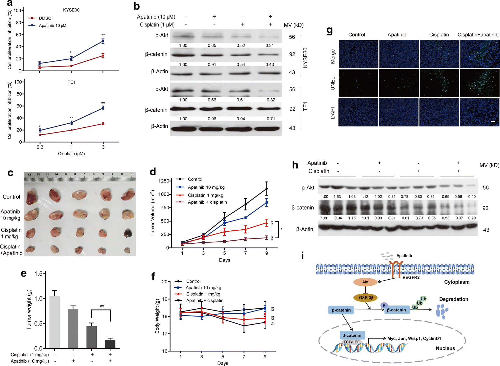 Fig. 7