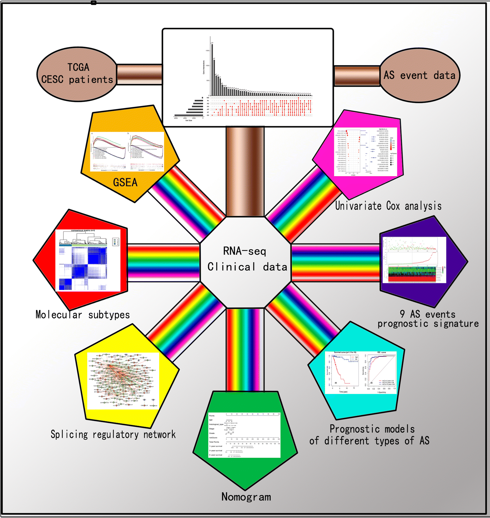 Fig. 1