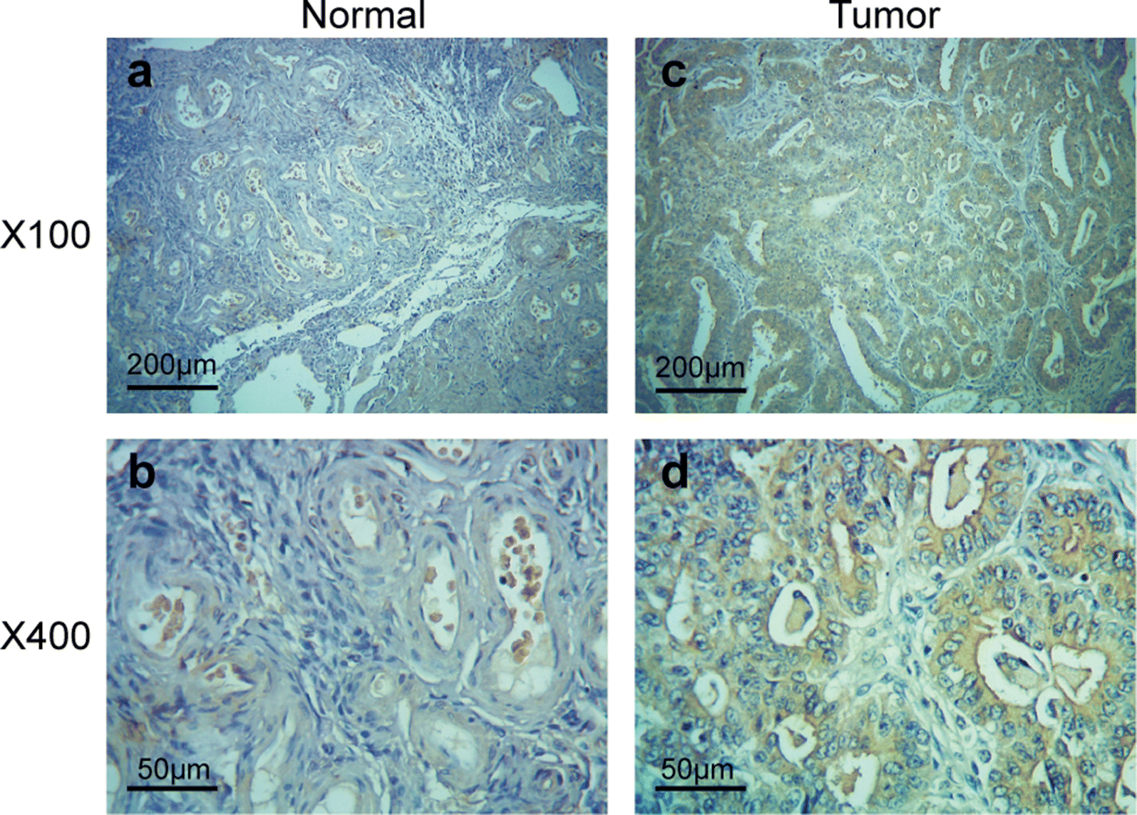 Fig. 4