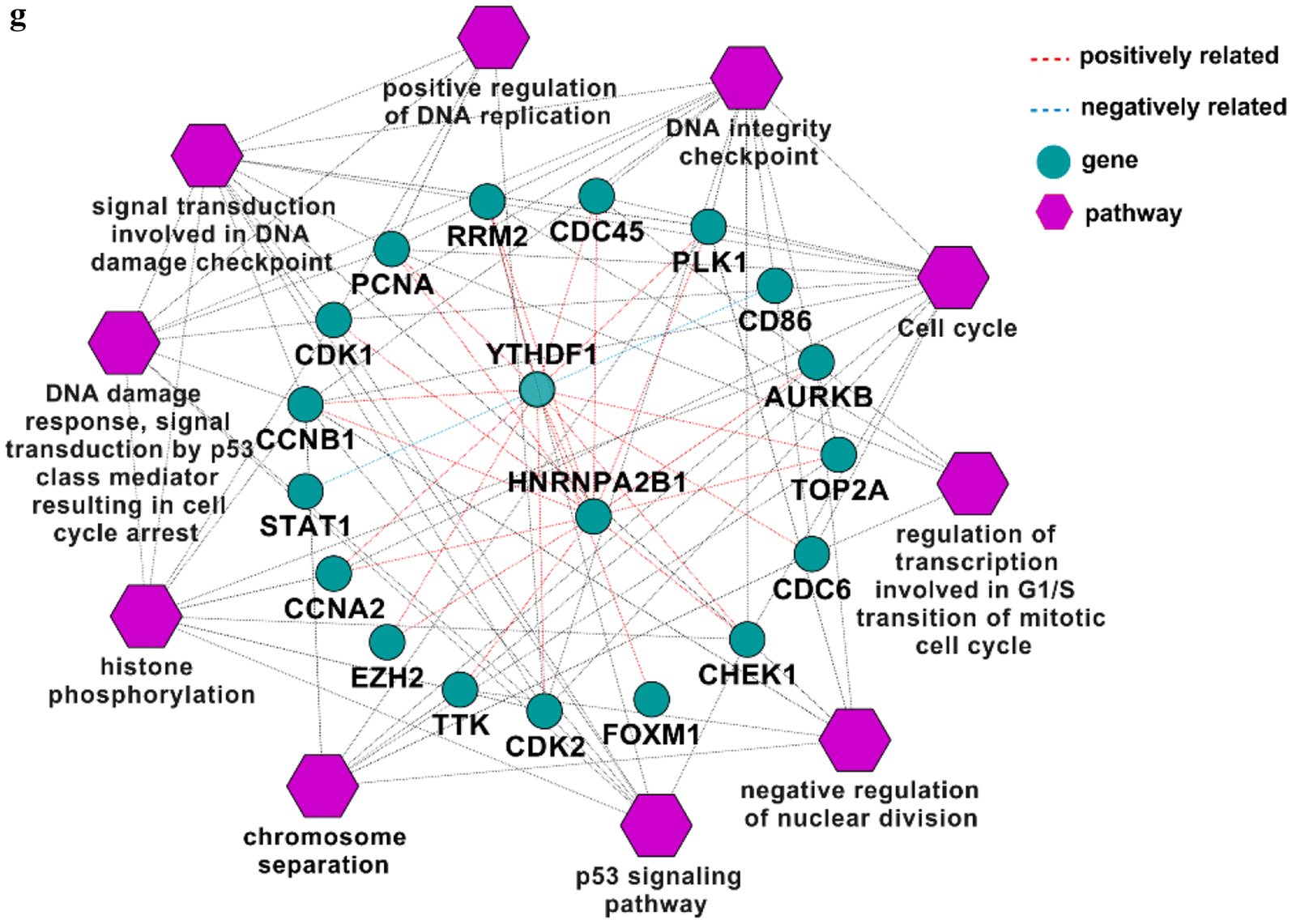 Fig. 4