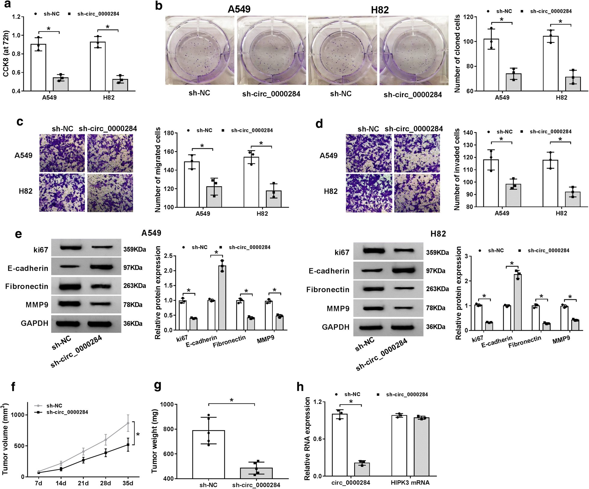 Fig. 4