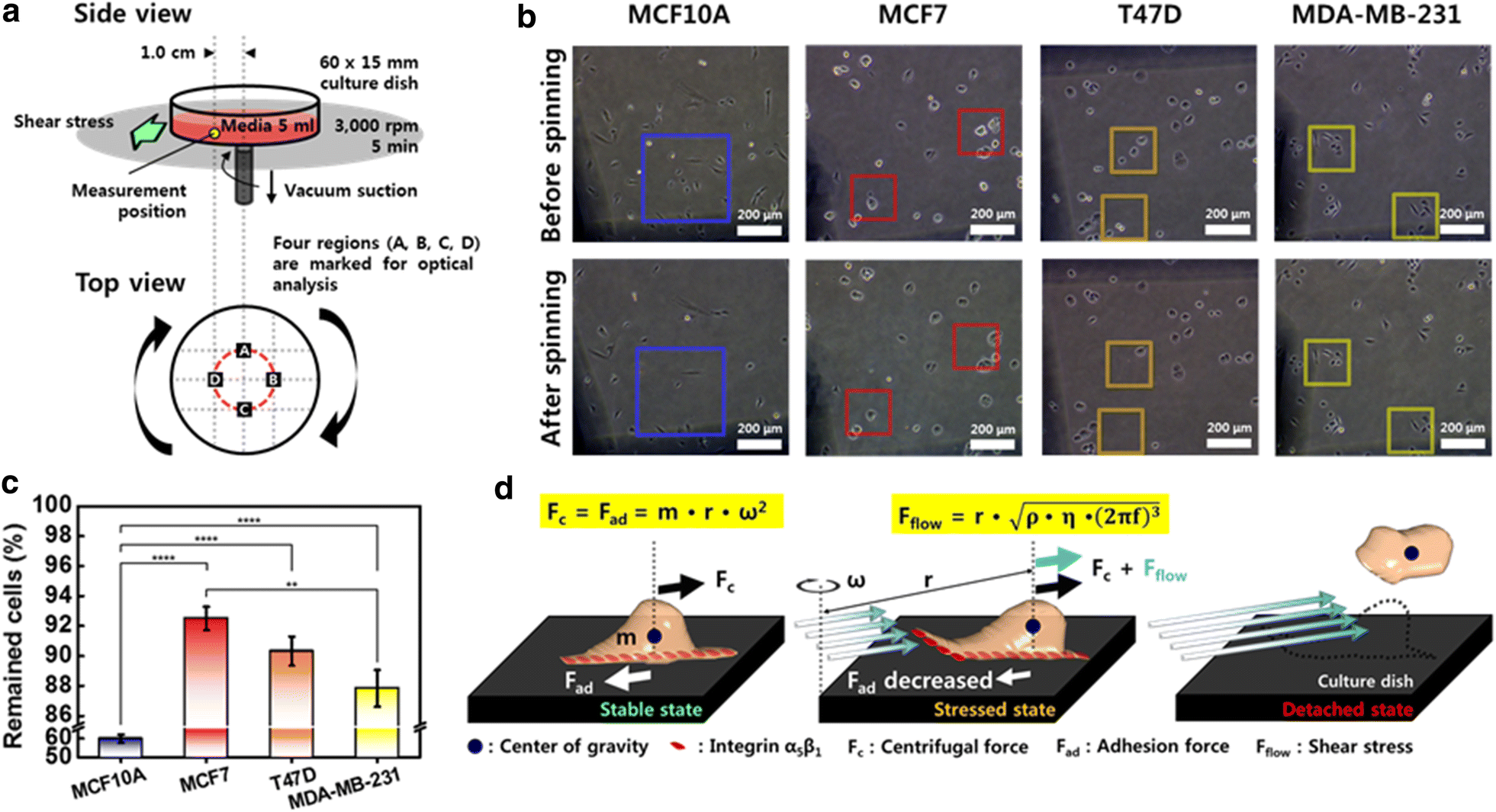 Fig. 4