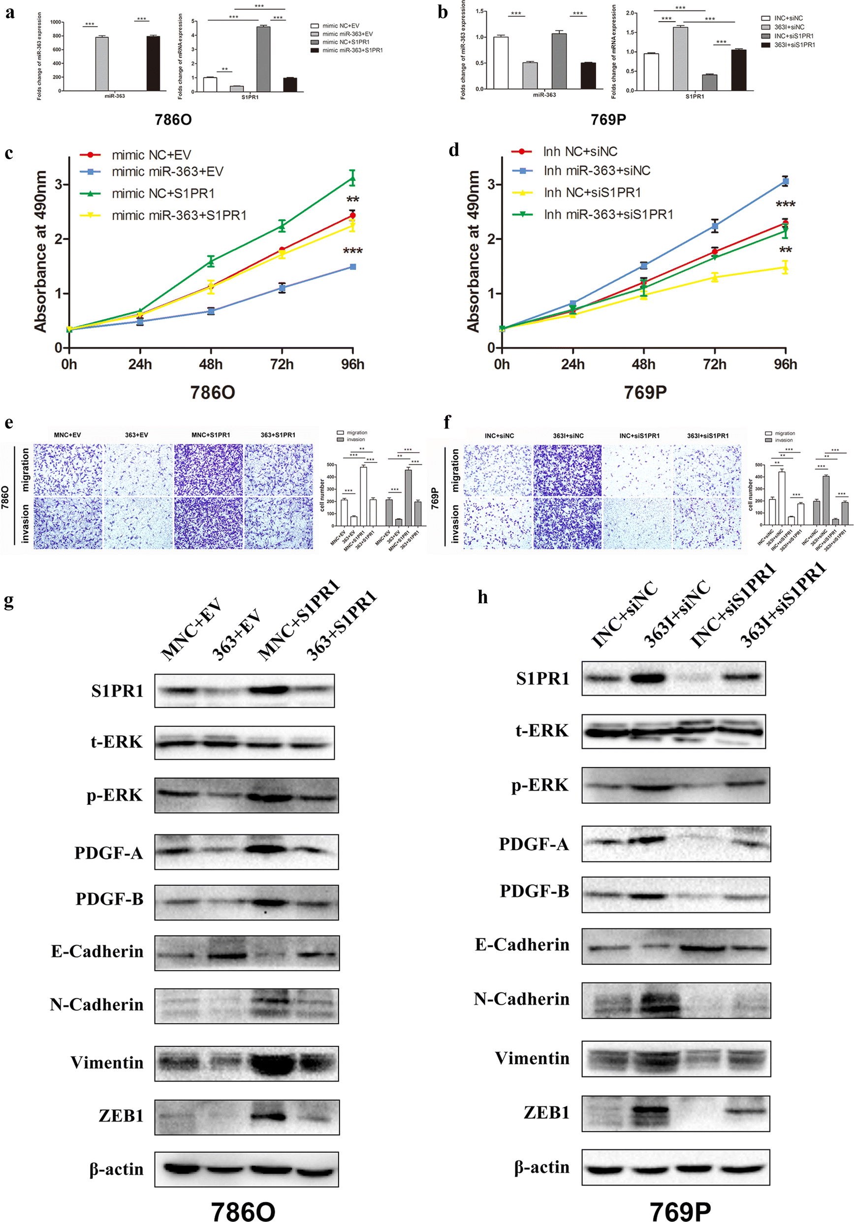 Fig. 5