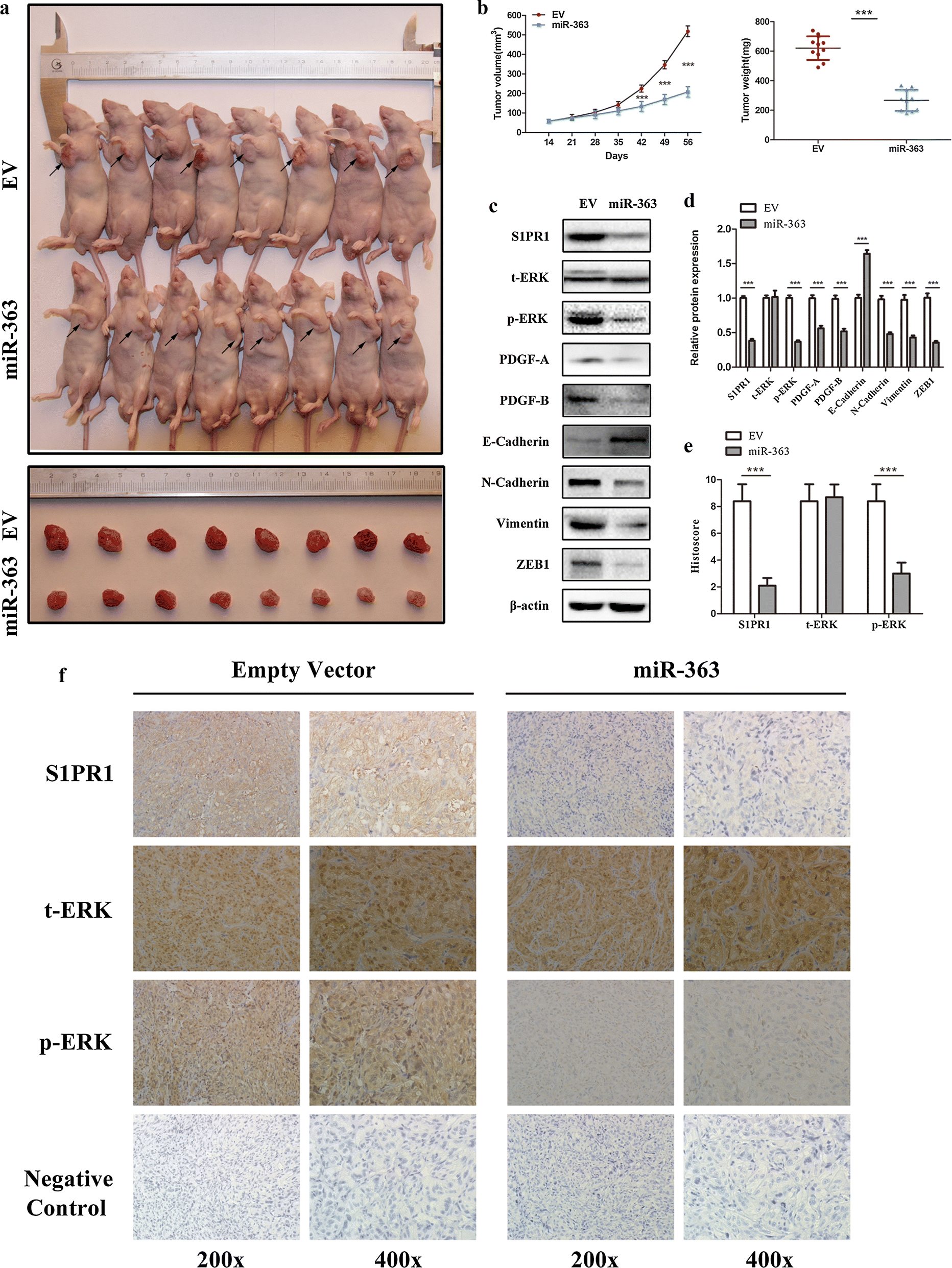 Fig. 6