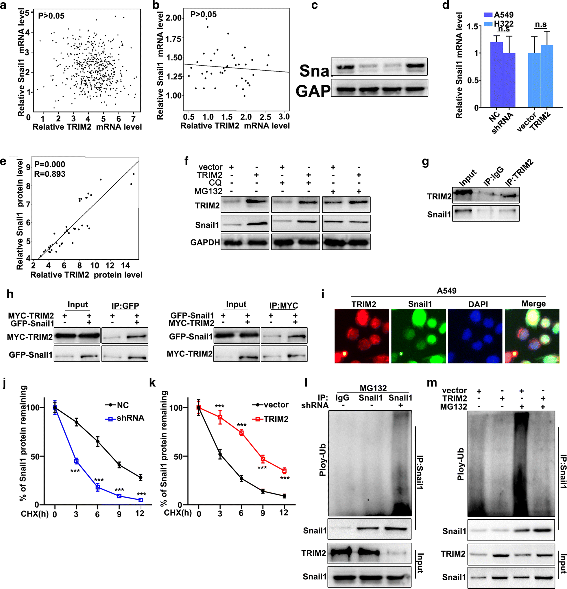 Fig. 5