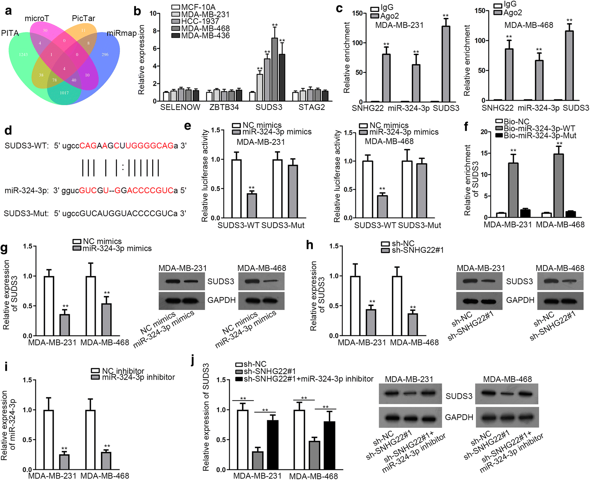 Fig. 4