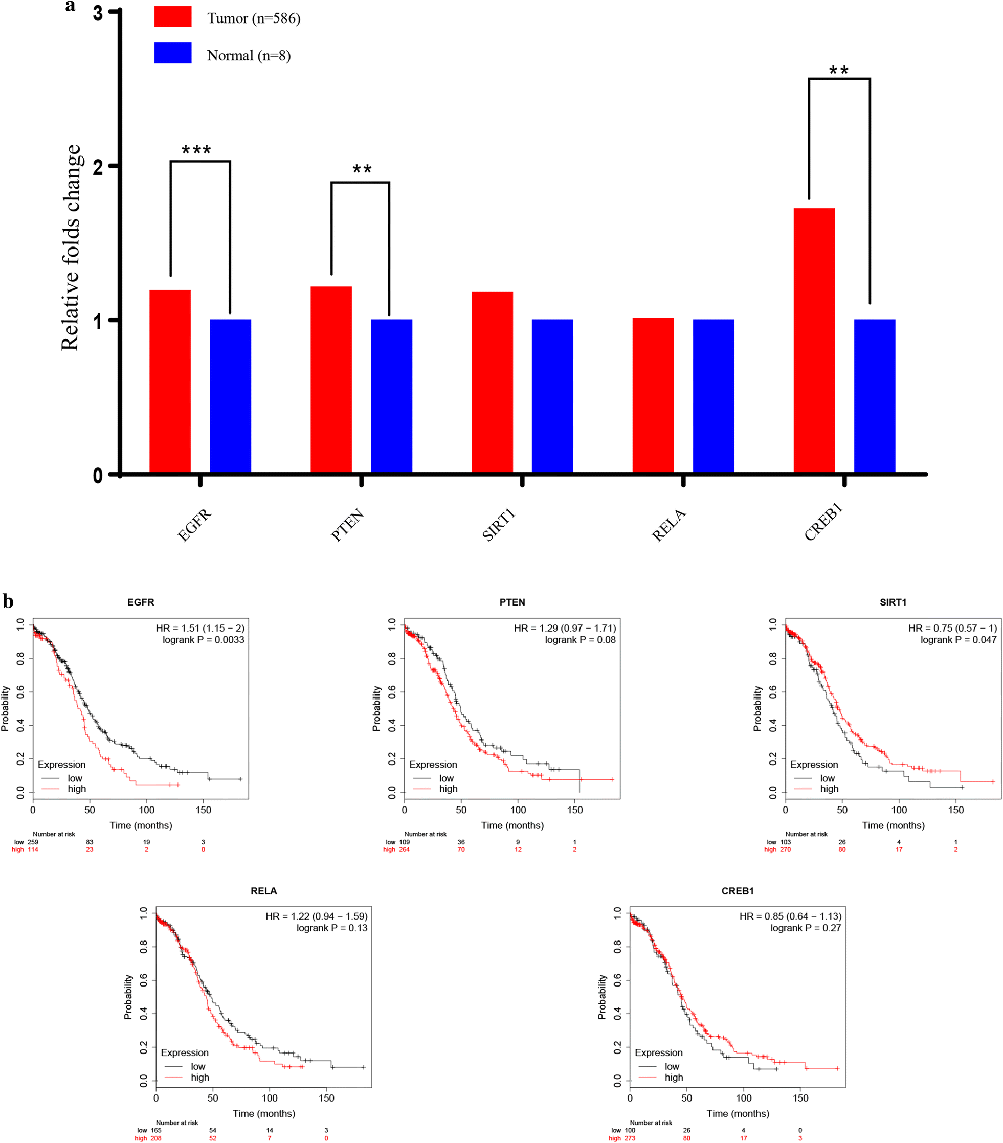 Fig. 6