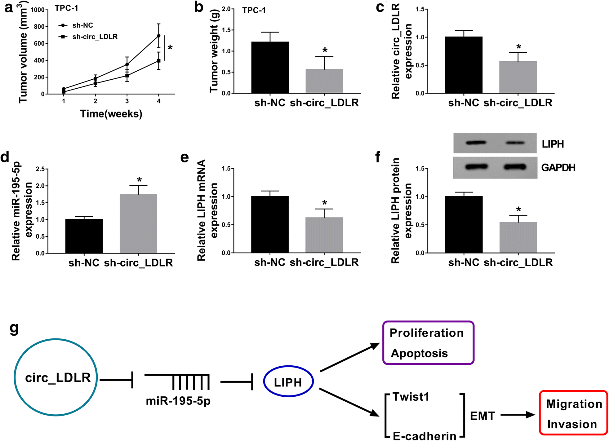 Fig. 7