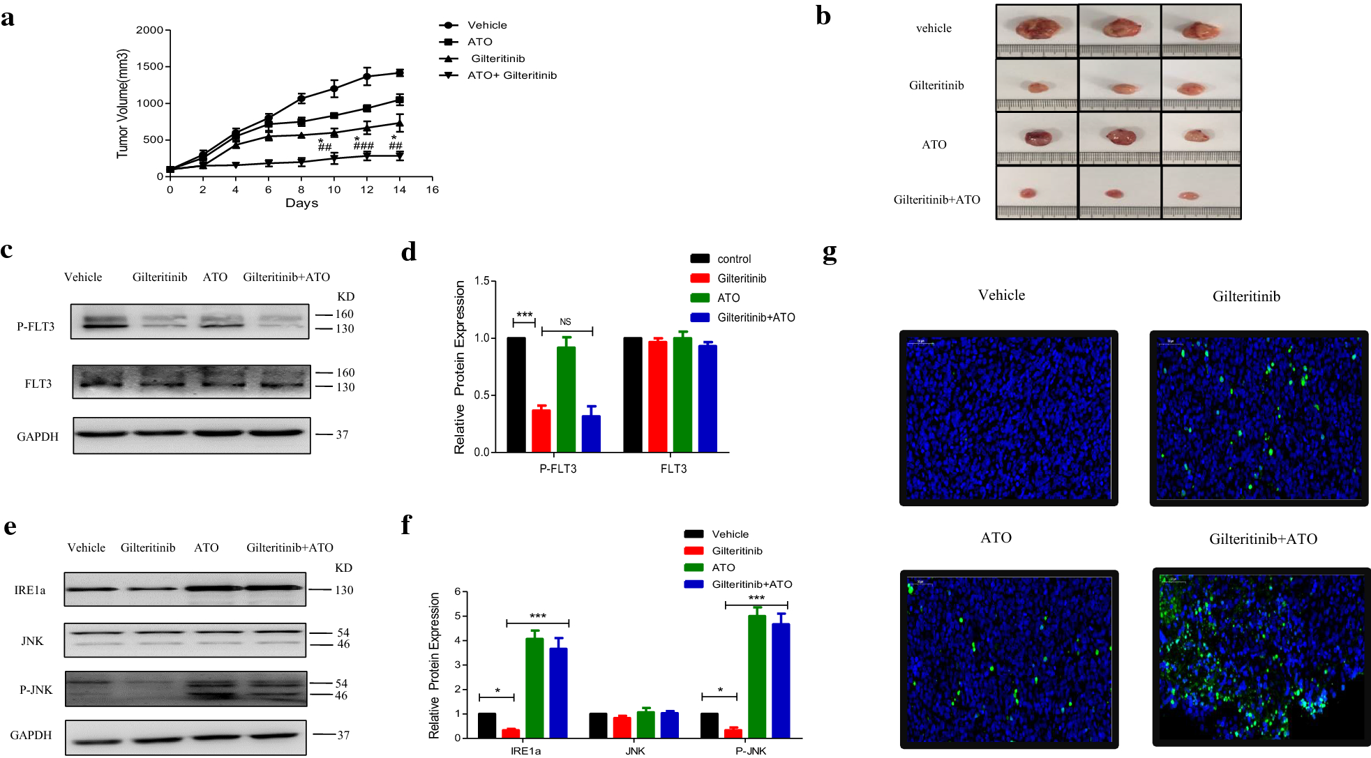 Fig. 10