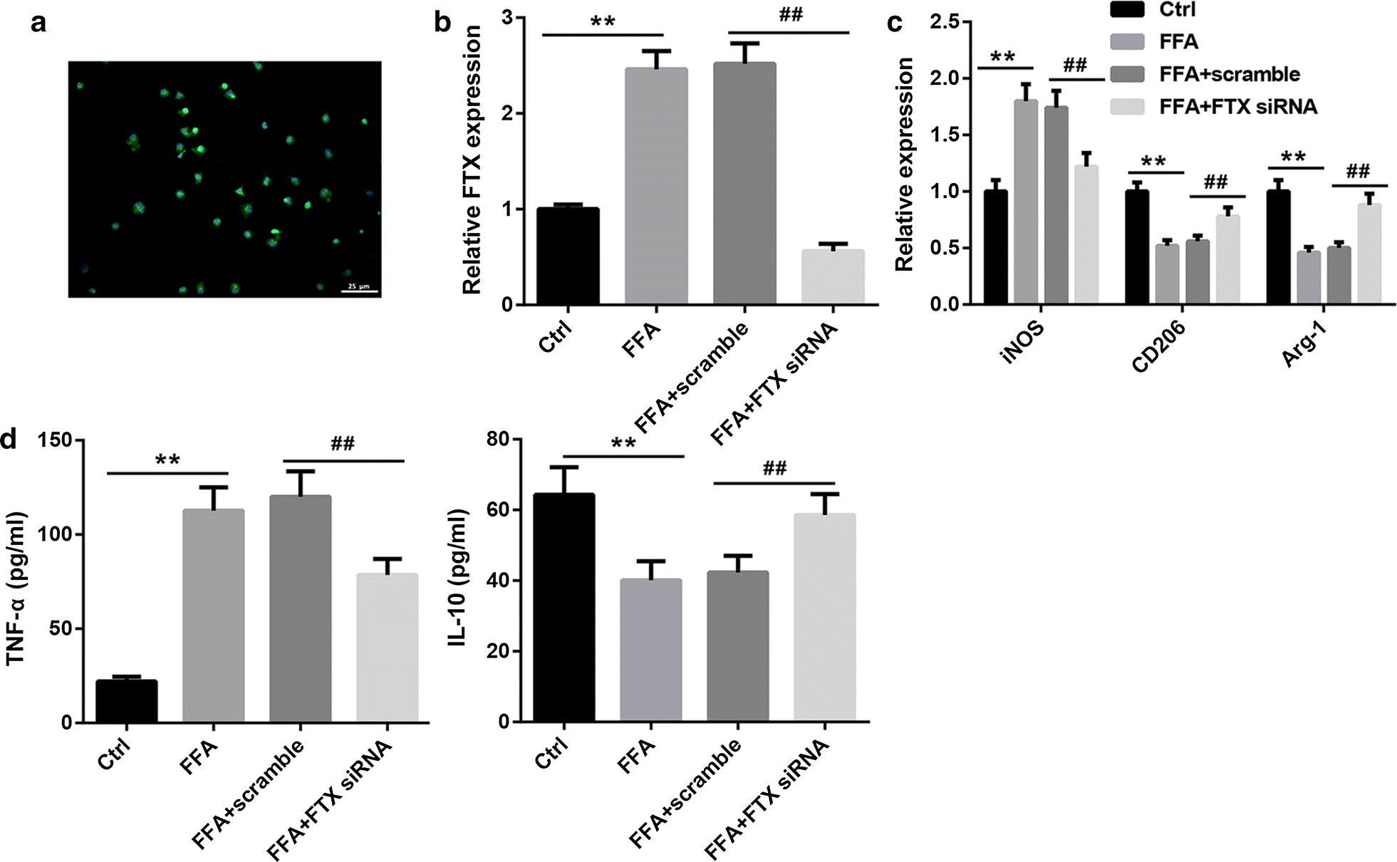 Fig. 6