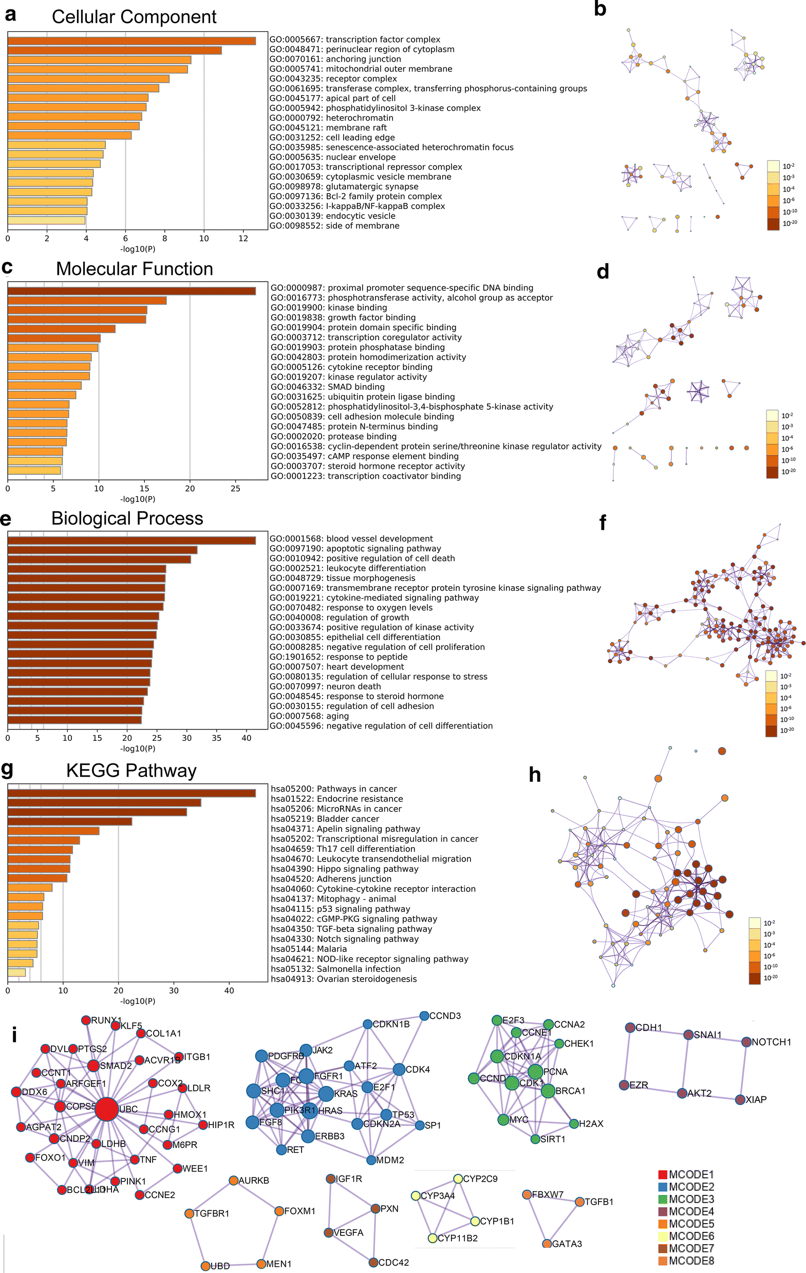 Fig. 7