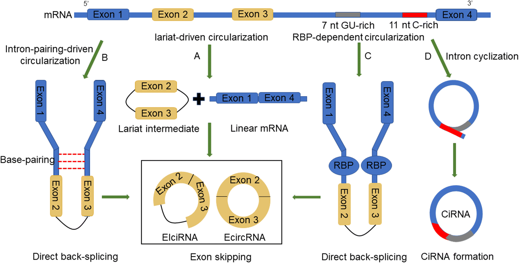 Fig. 1