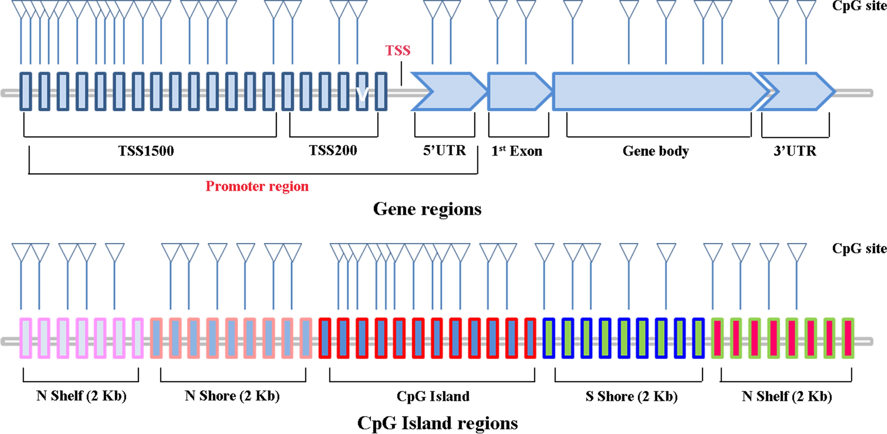 Fig. 3