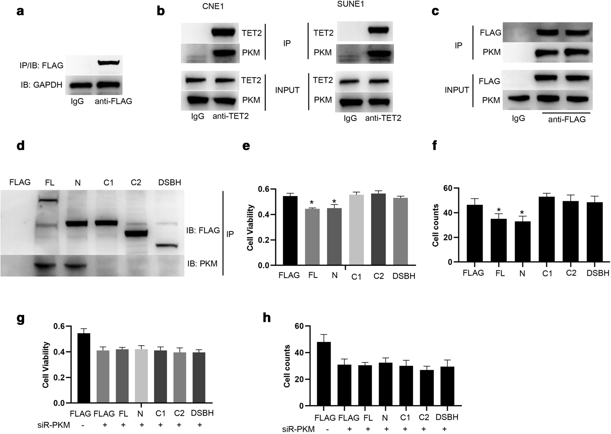 Fig. 3