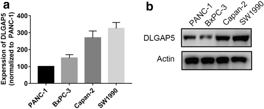 Fig. 6