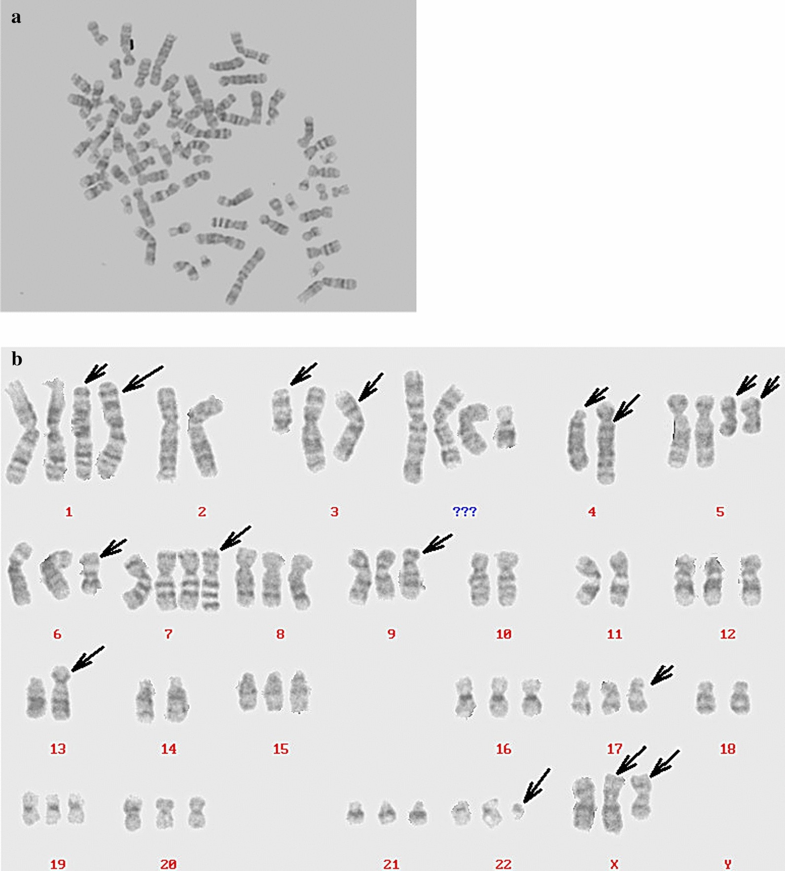 Fig. 3