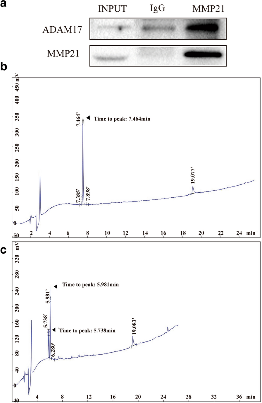 Fig. 6