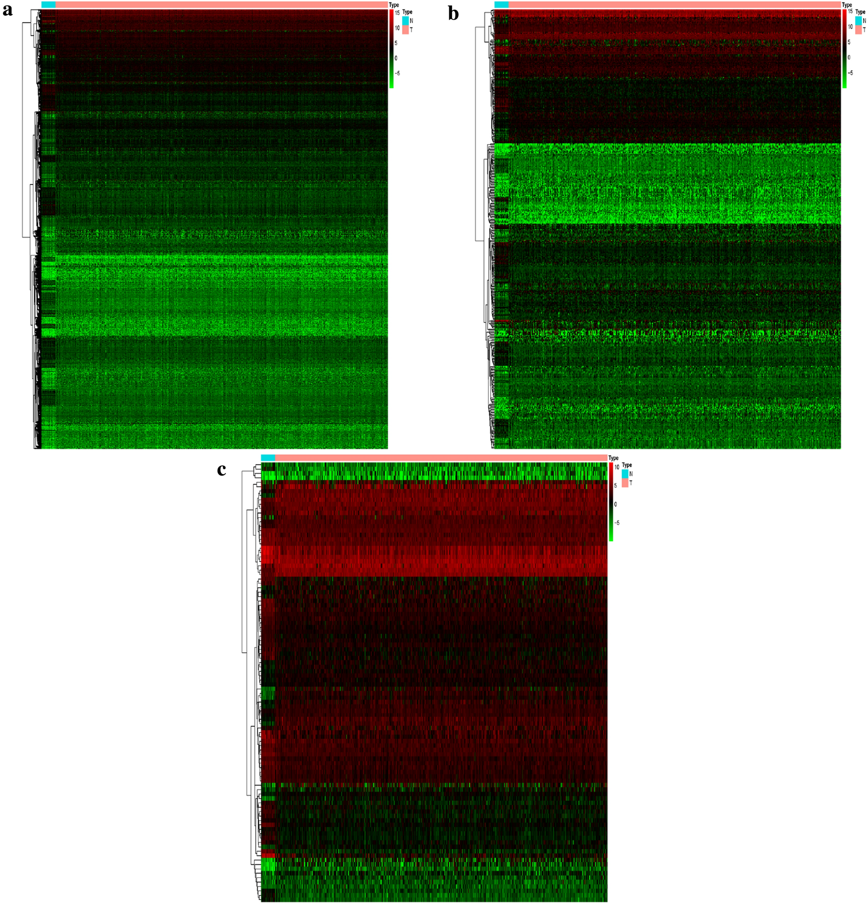 Fig. 1