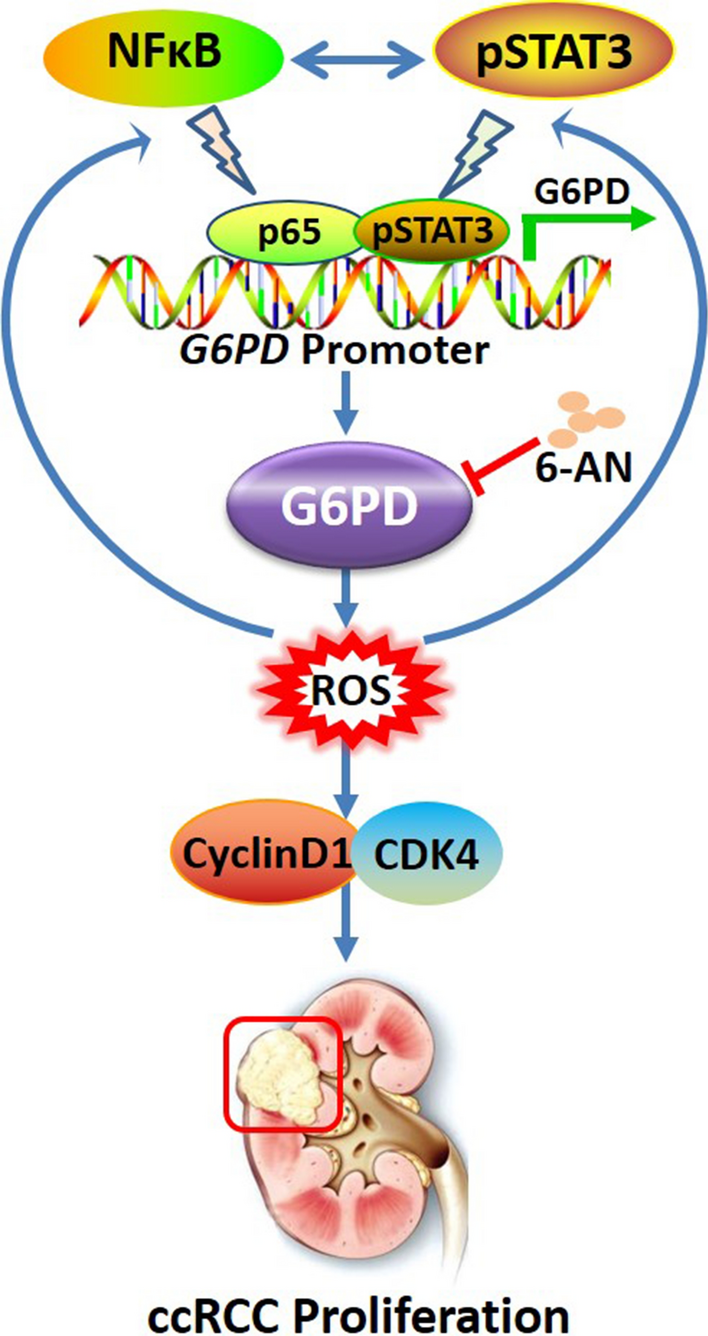 Fig. 7