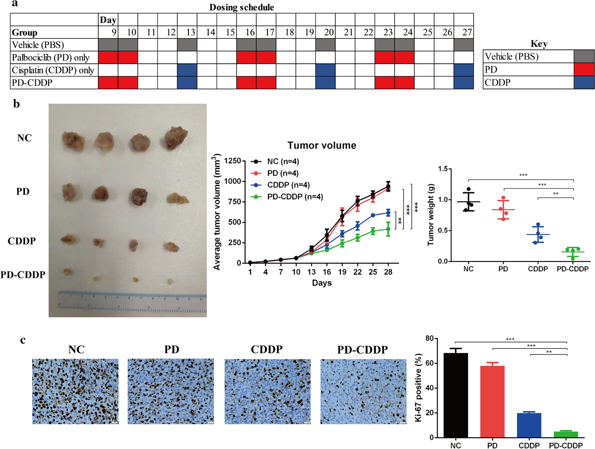 Fig. 4