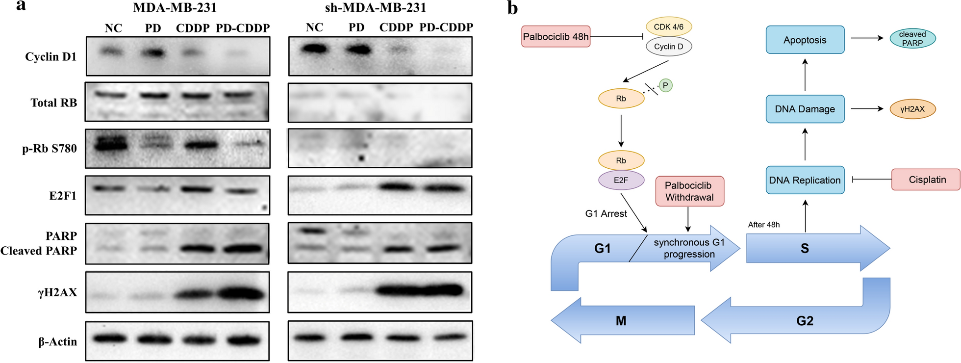 Fig. 7