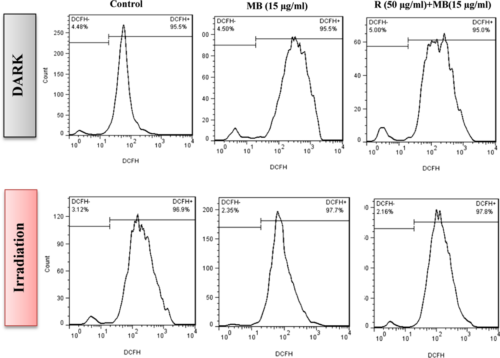 Fig. 10