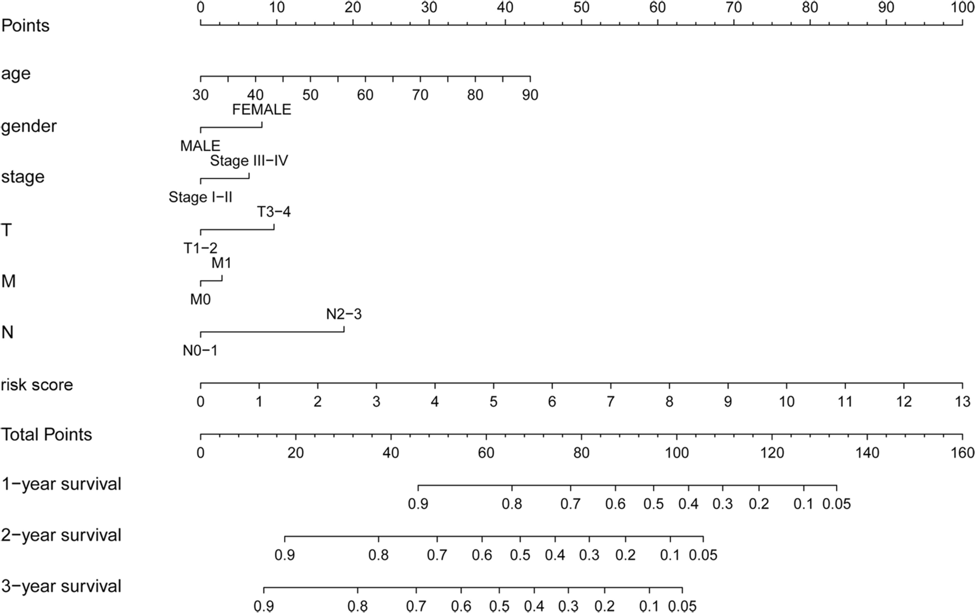 Fig. 6