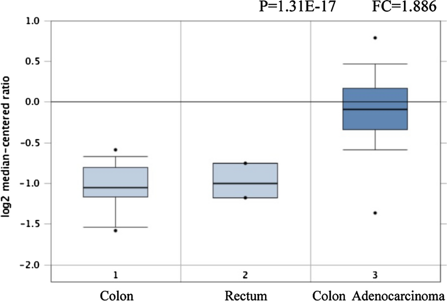 Fig. 3