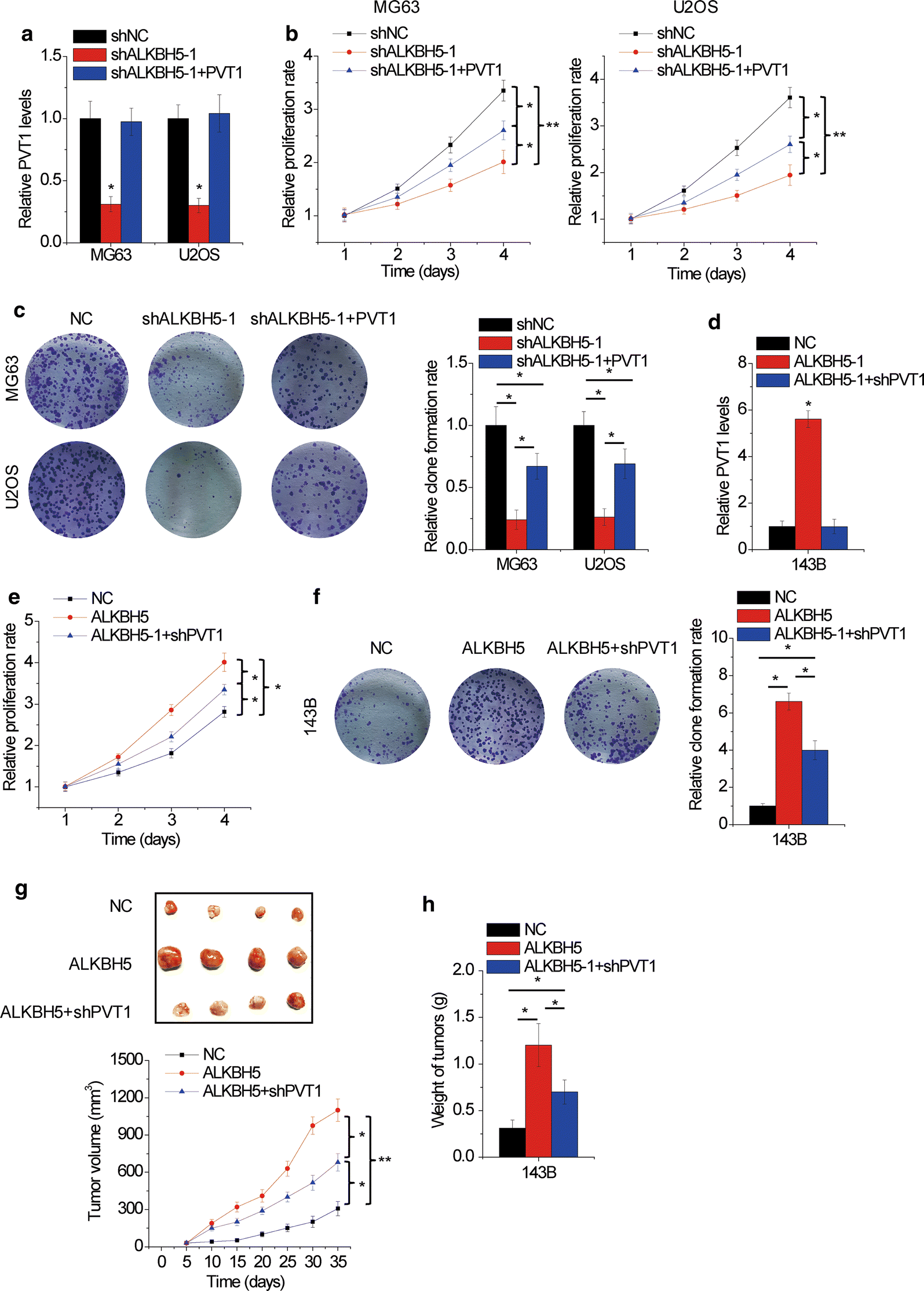 Fig. 6