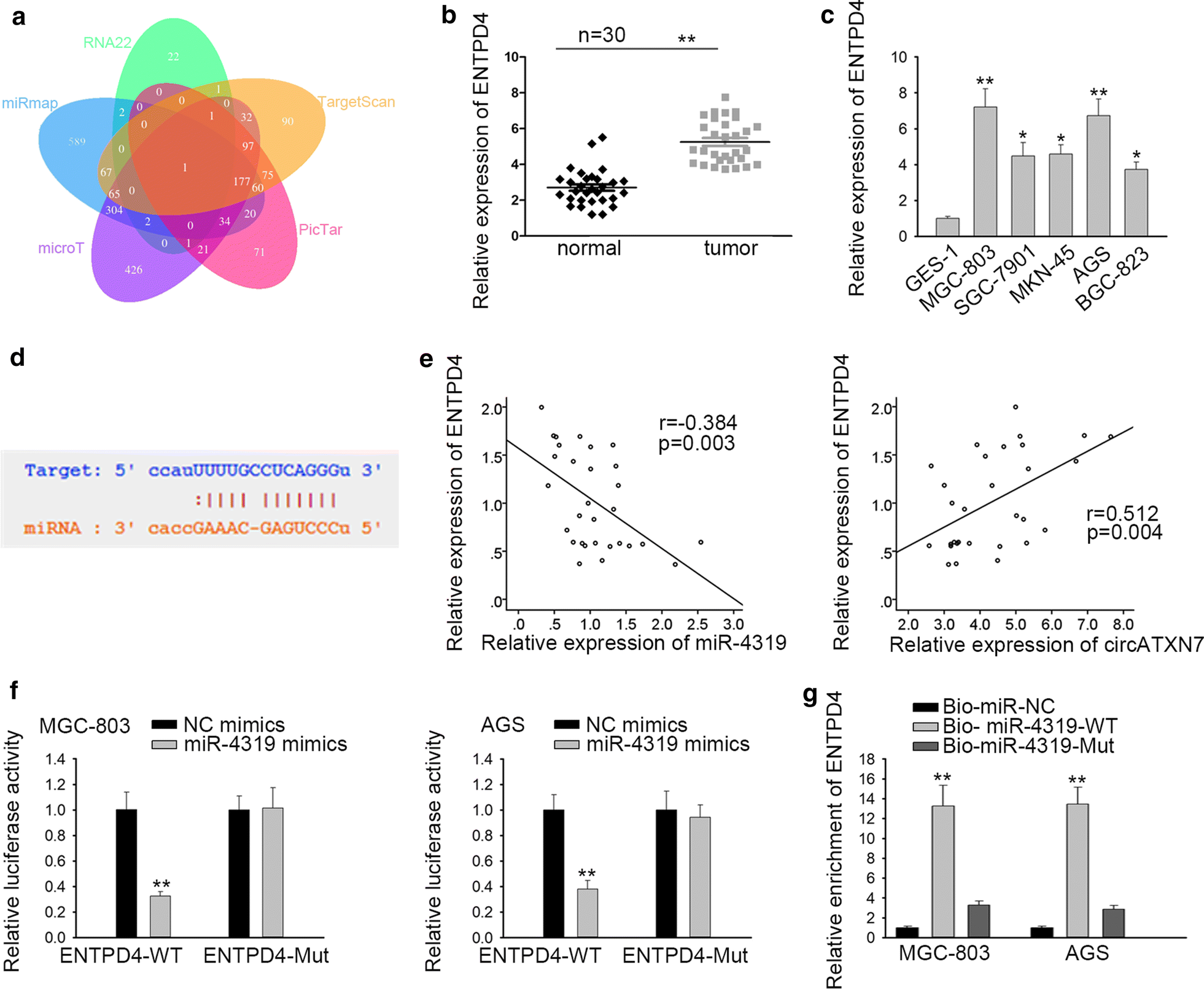 Fig. 4