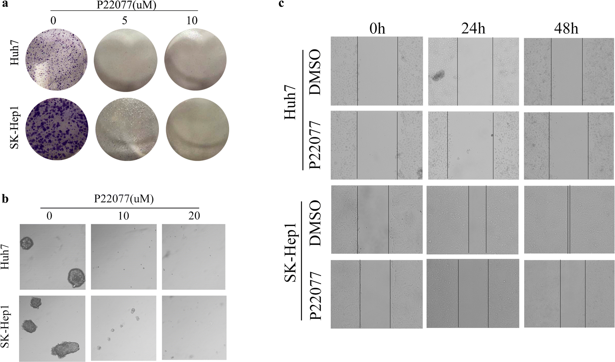 Fig. 3