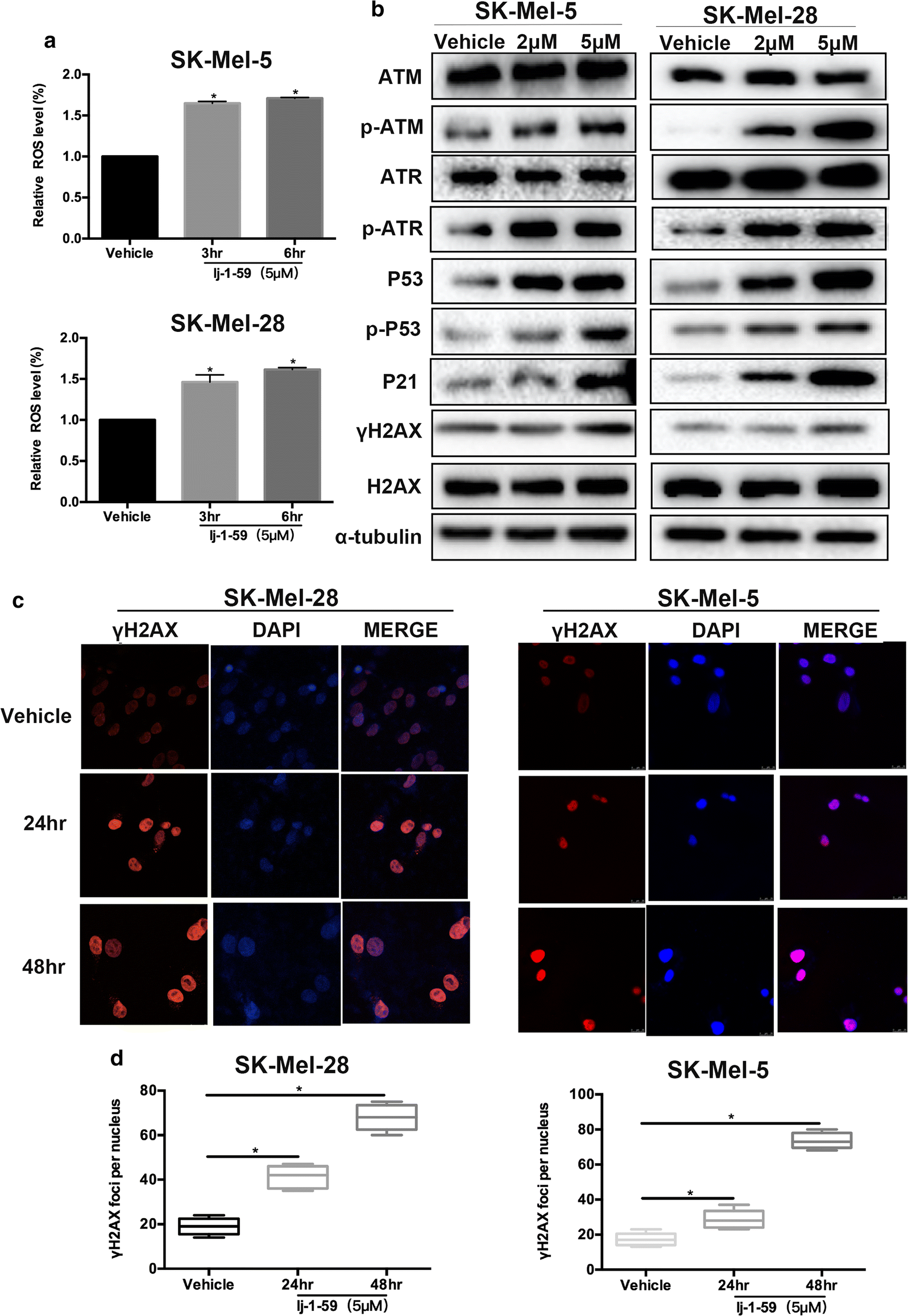 Fig. 5