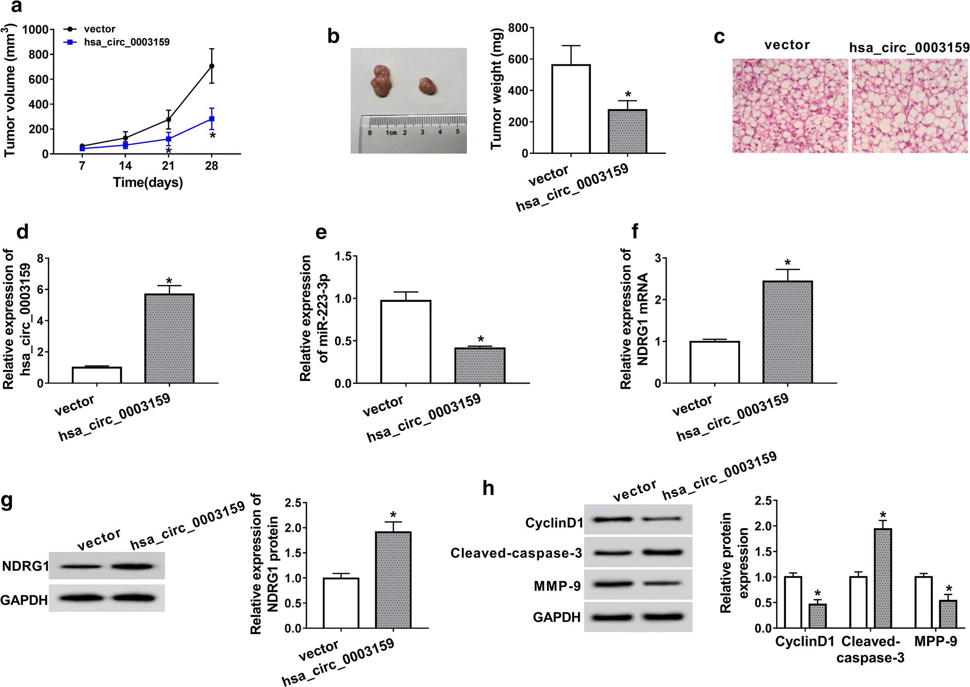 Fig. 7