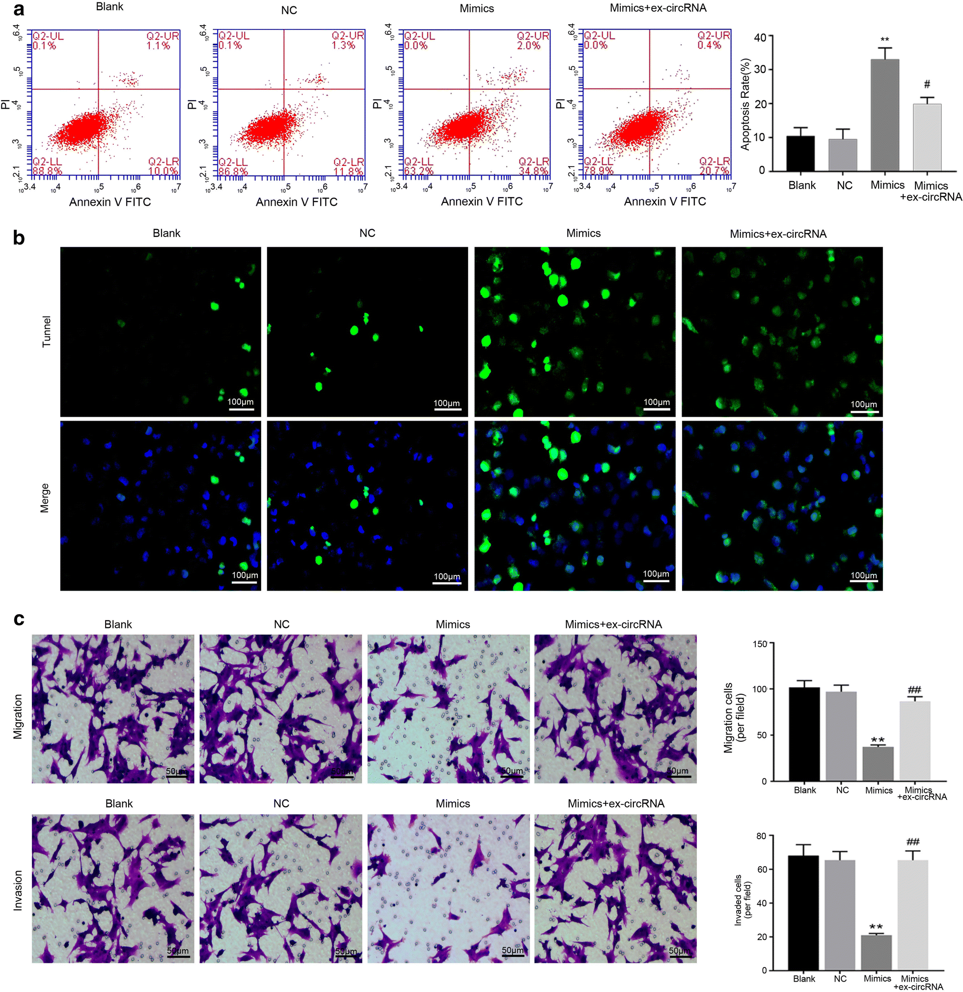 Fig. 6