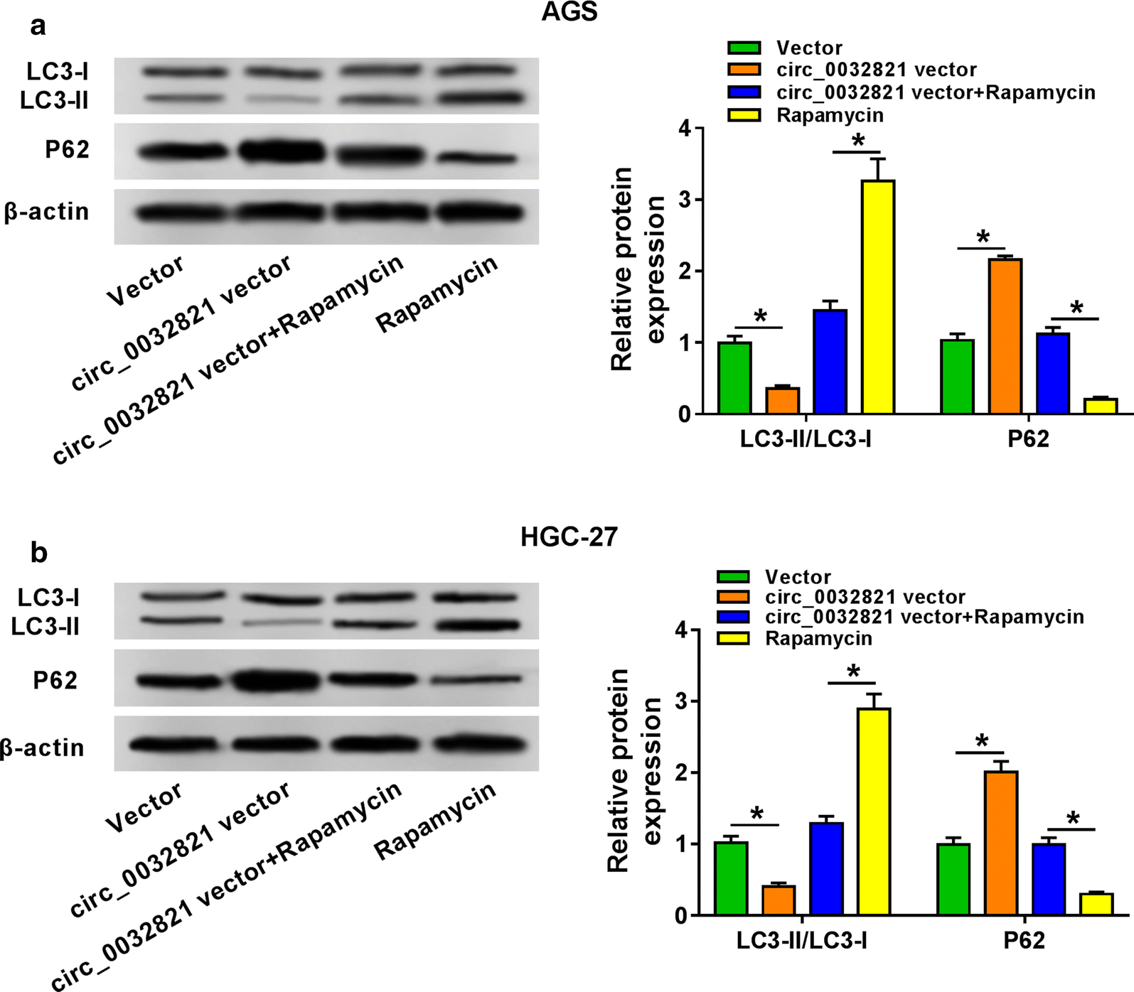 Fig. 5