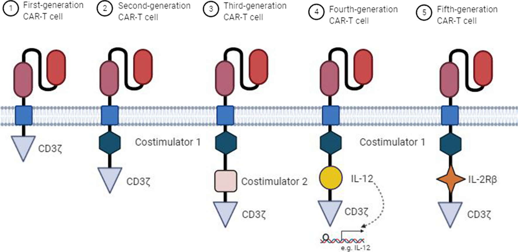 Fig. 3