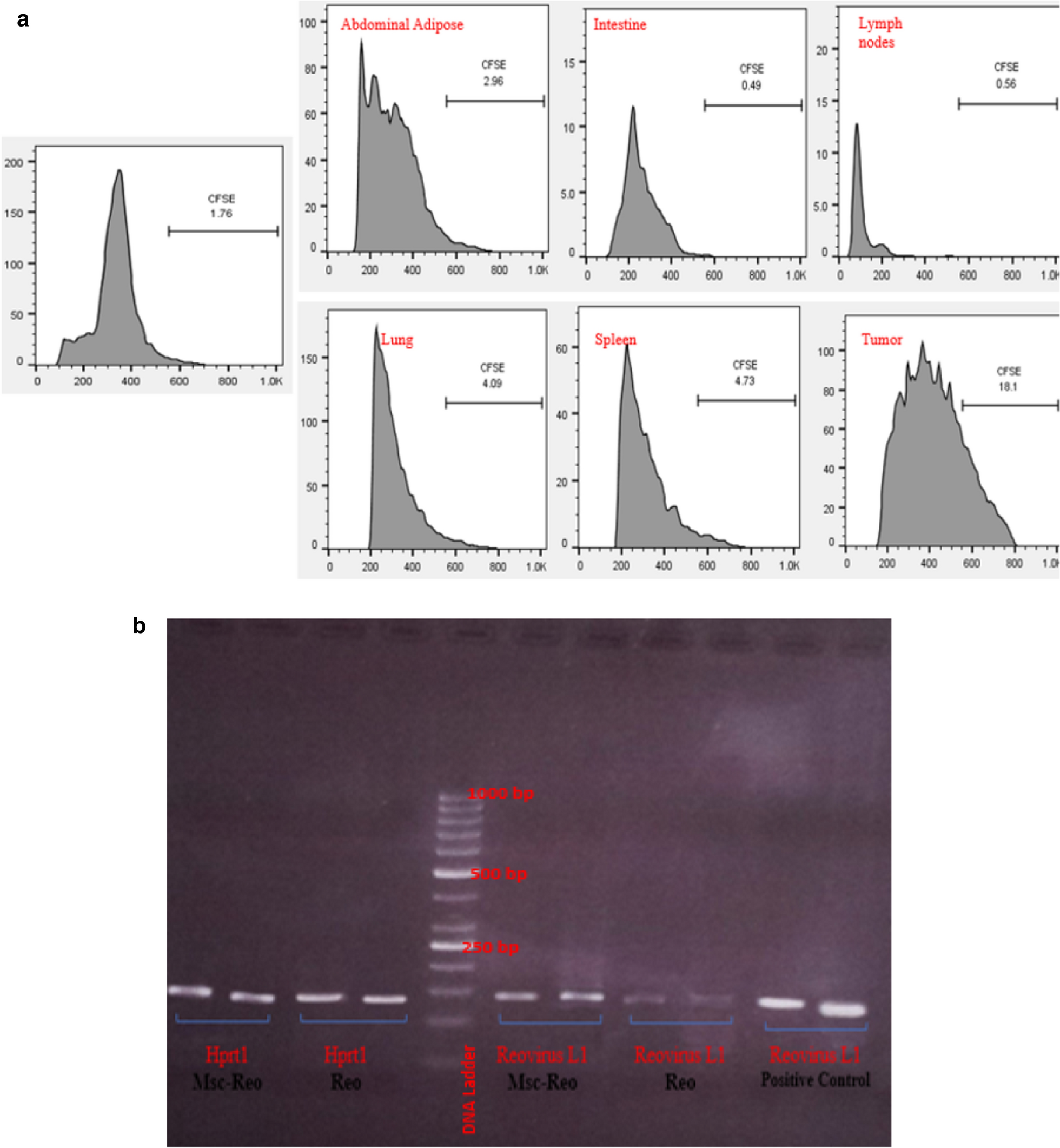 Fig. 9