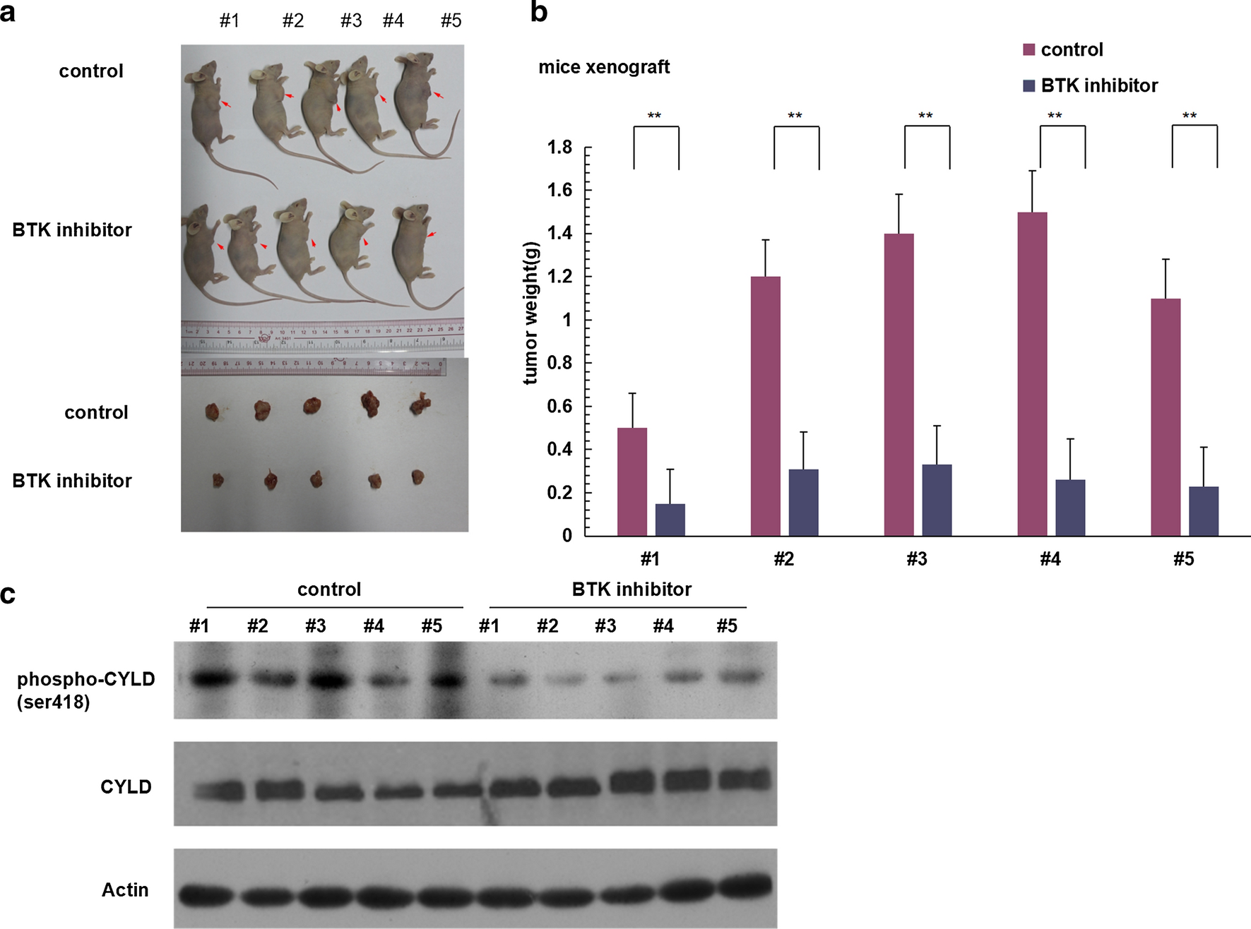 Fig.4