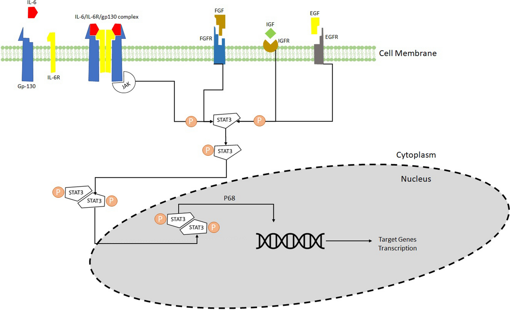 Fig. 1