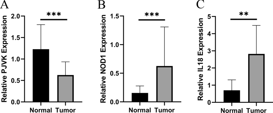 Fig. 13