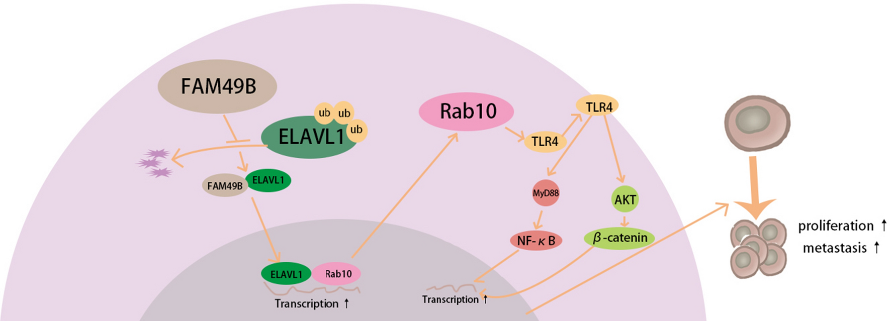 Fig. 10