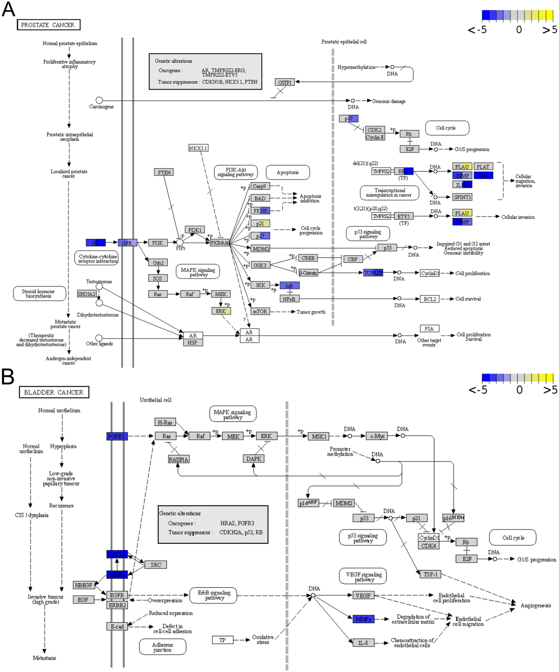 Fig. 8