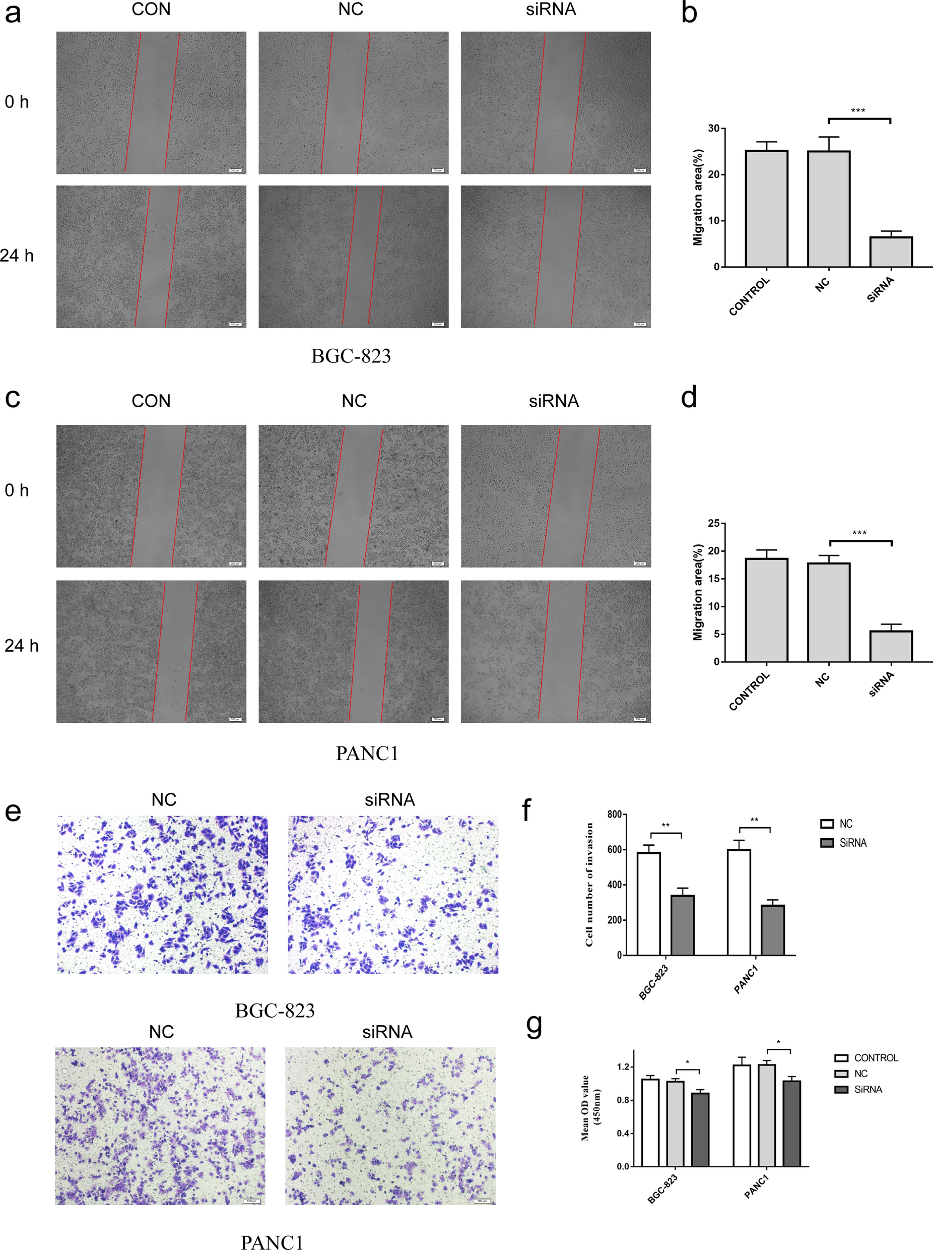 Fig. 13