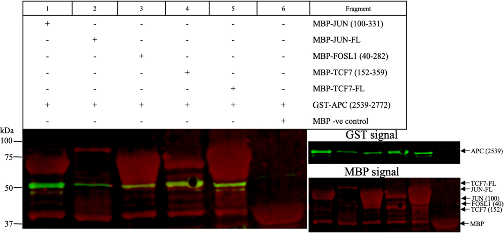 Fig. 6