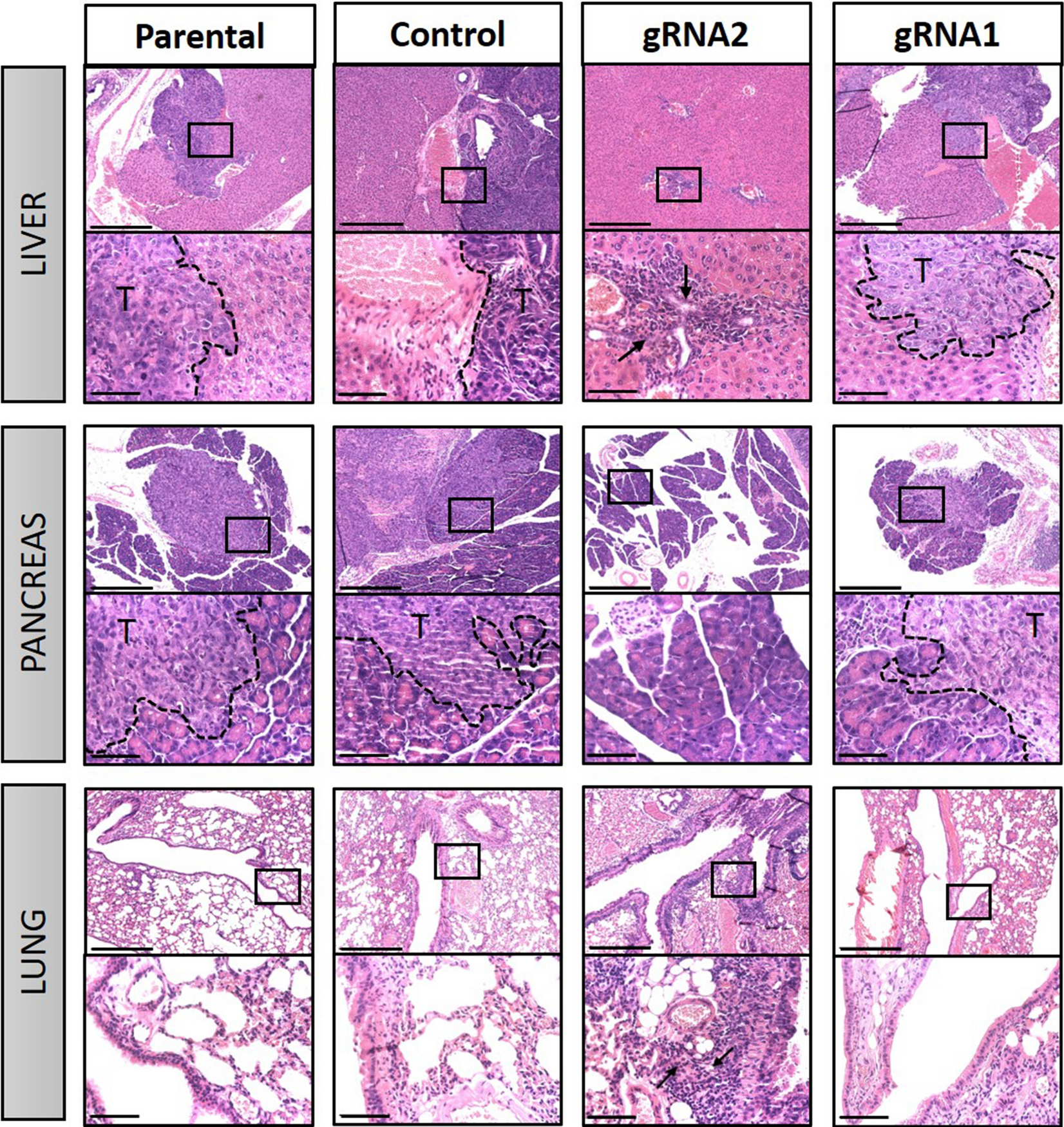 Fig. 11