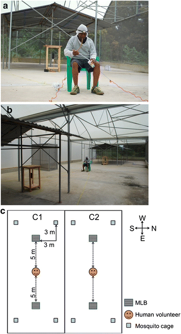 Figure 3