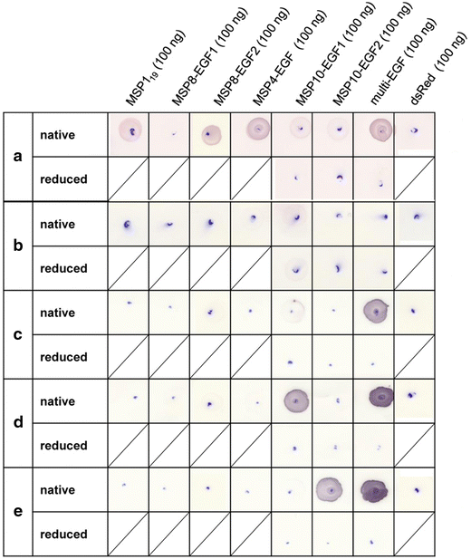 Figure 6